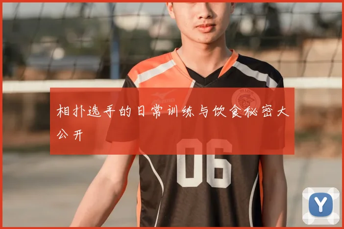 相扑选手的日常训练与饮食秘密大公开