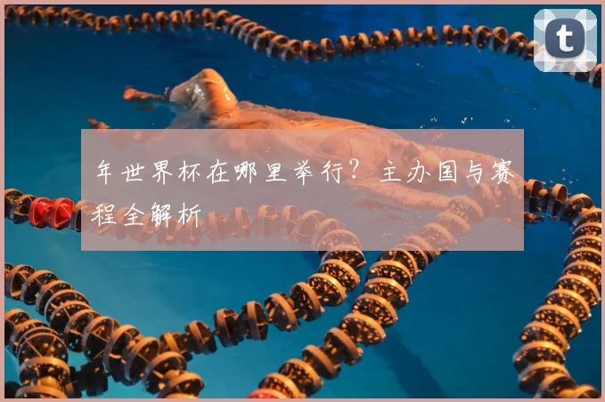 年世界杯在哪里举行？主办国与赛程全解析