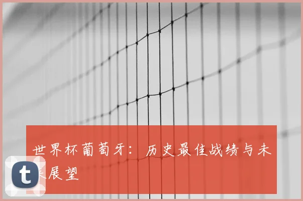 世界杯葡萄牙：历史最佳战绩与未来展望